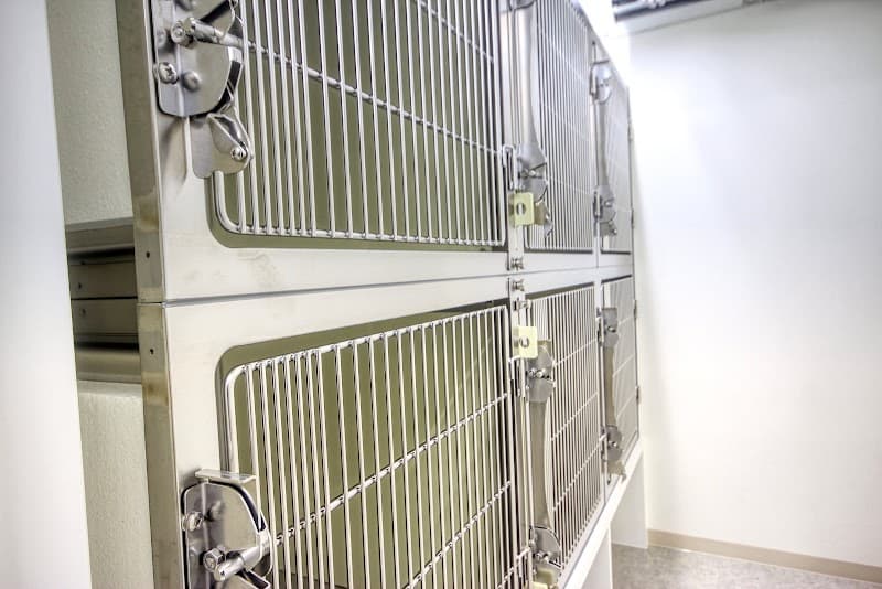 昭和町動物病院