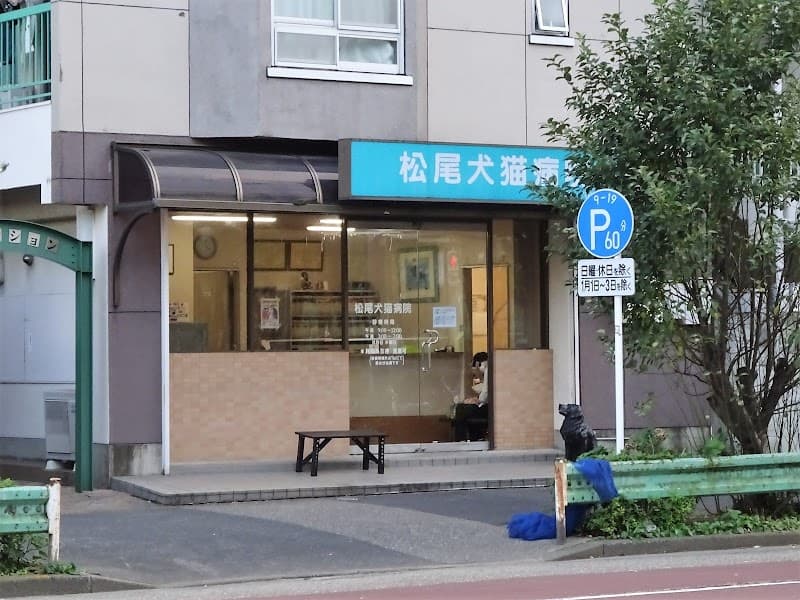松尾犬猫病院