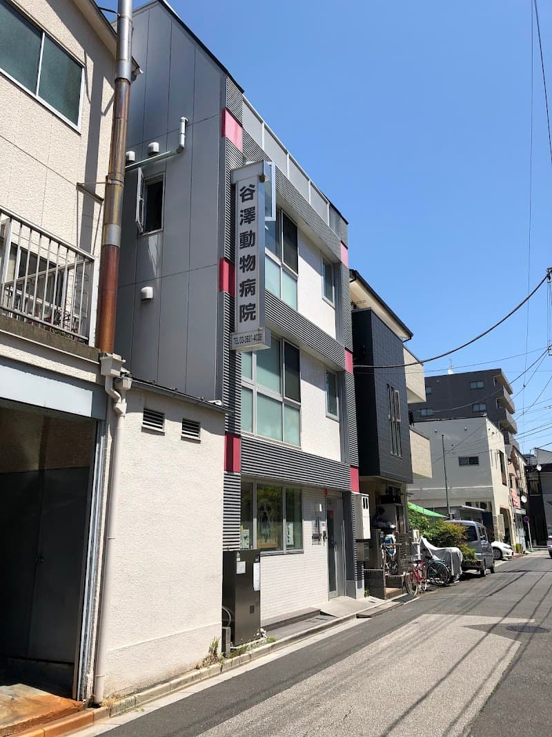 谷澤動物病院