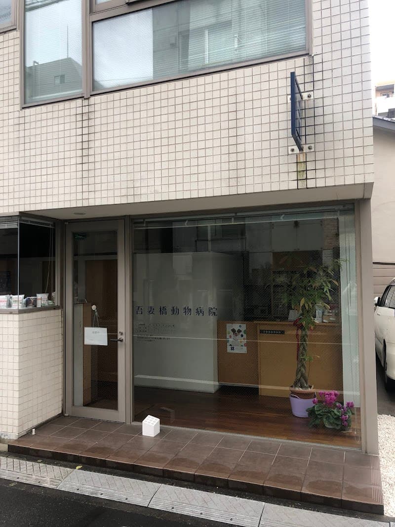 吾妻橋動物病院