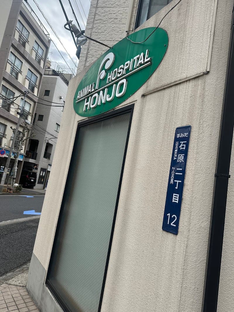 本所どうぶつ病院