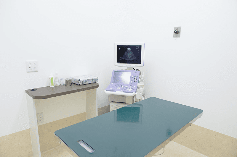 しん中央動物病院