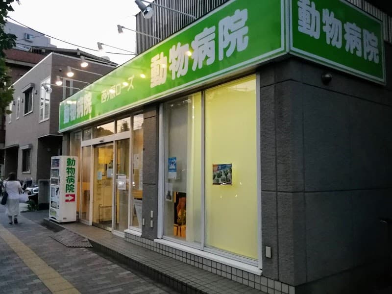 西ヶ原ローズ動物病院