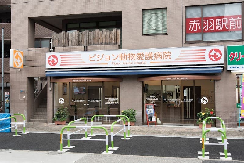 ピジョン動物愛護病院 赤羽院