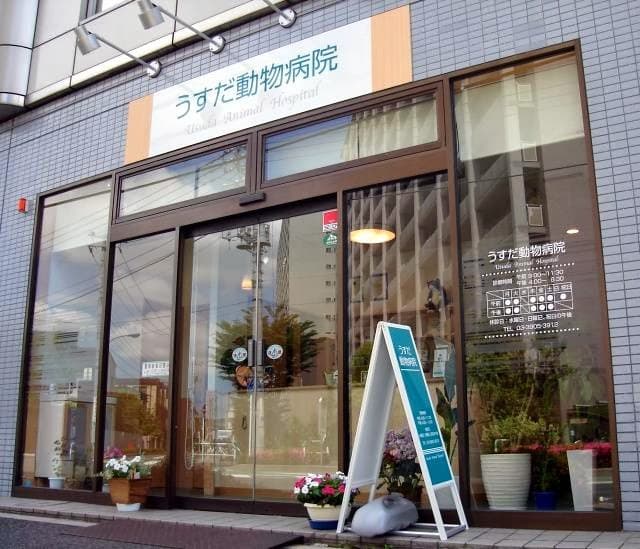 うすだ動物病院