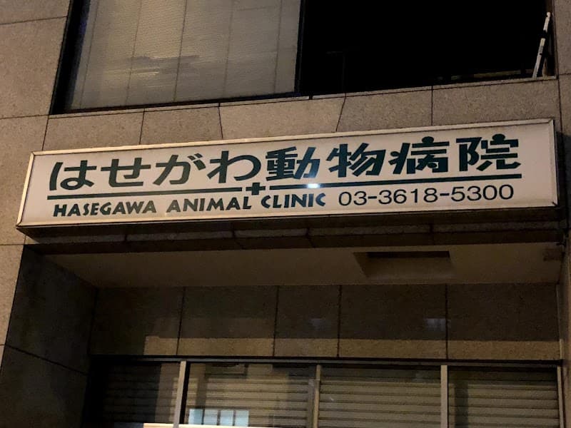 はせがわ動物病院