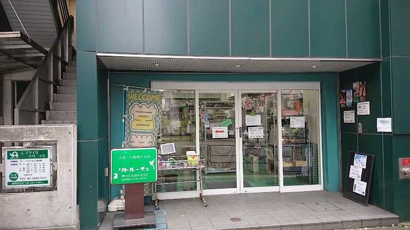レプタイルクリニック