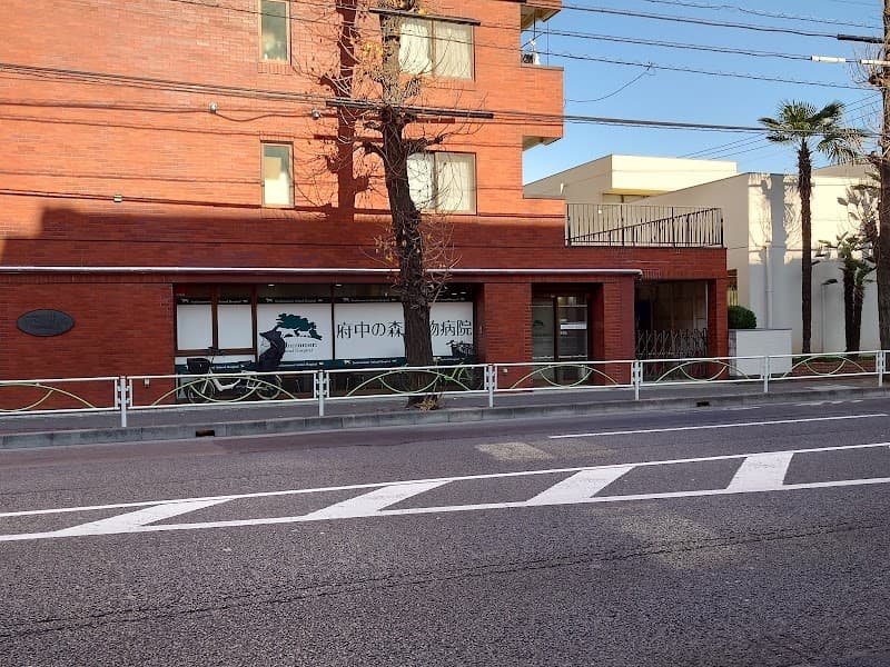 府中の森動物病院