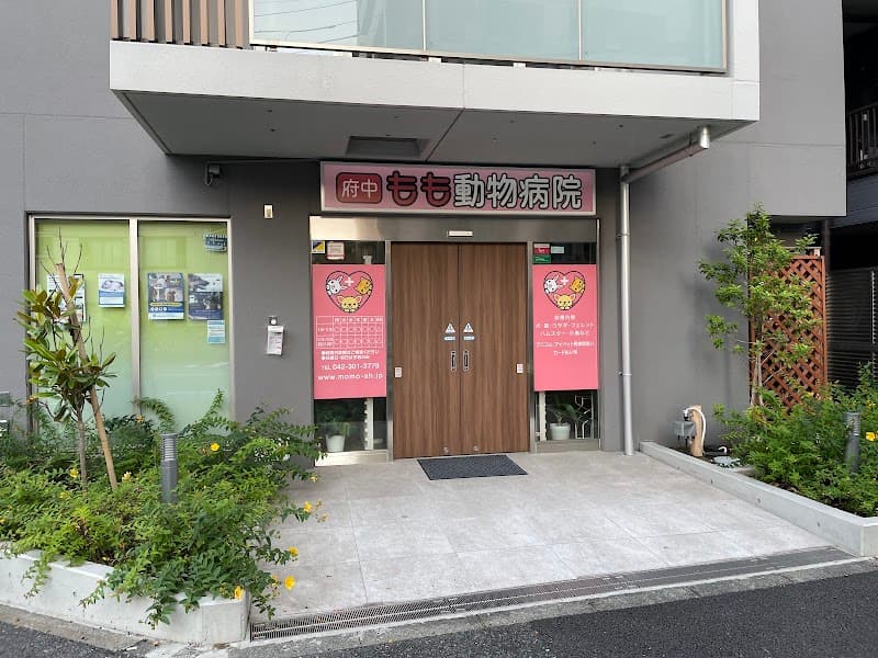府中もも動物病院