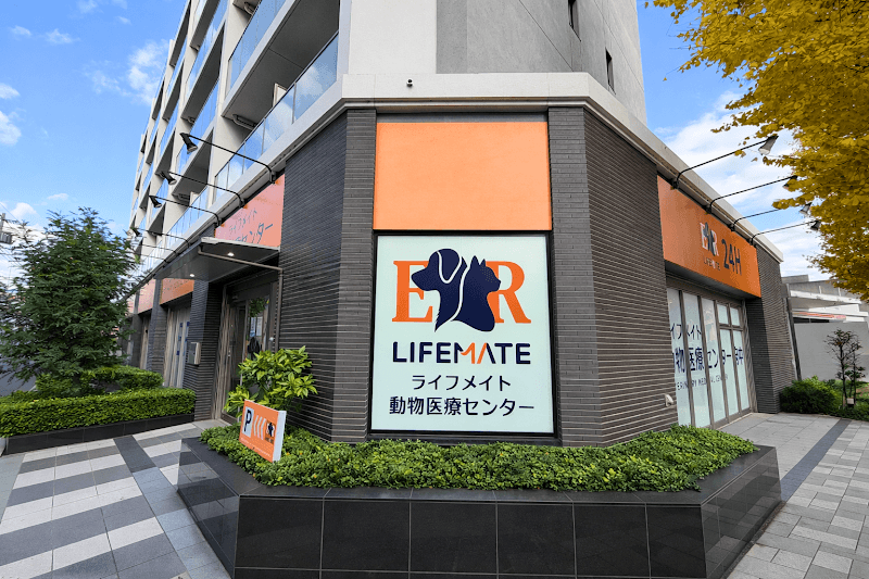 獣医科オフィス