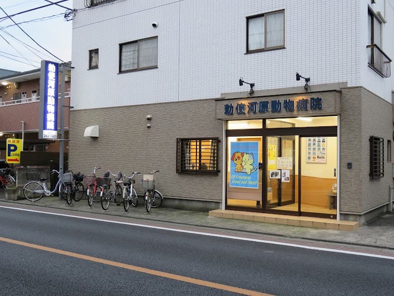 勅使河原動物病院