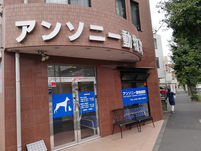 アンソニー動物病院
