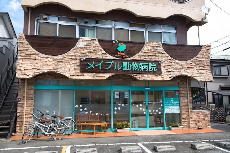 メイプル動物病院