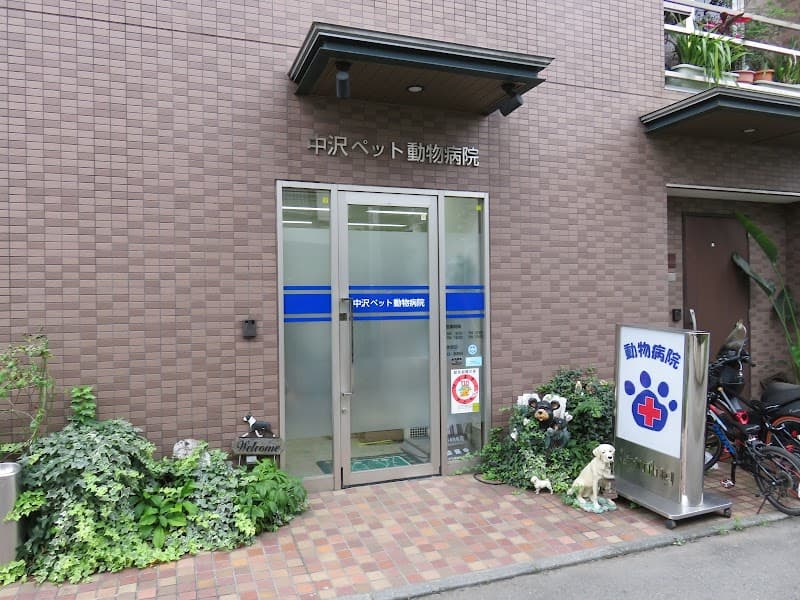 中沢ペット動物病院