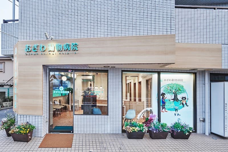 おざわ動物病院