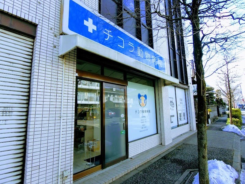 チコラ動物病院