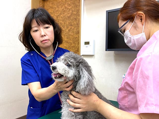 かどやアニマルホスピタル