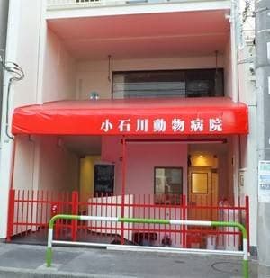 小石川動物病院