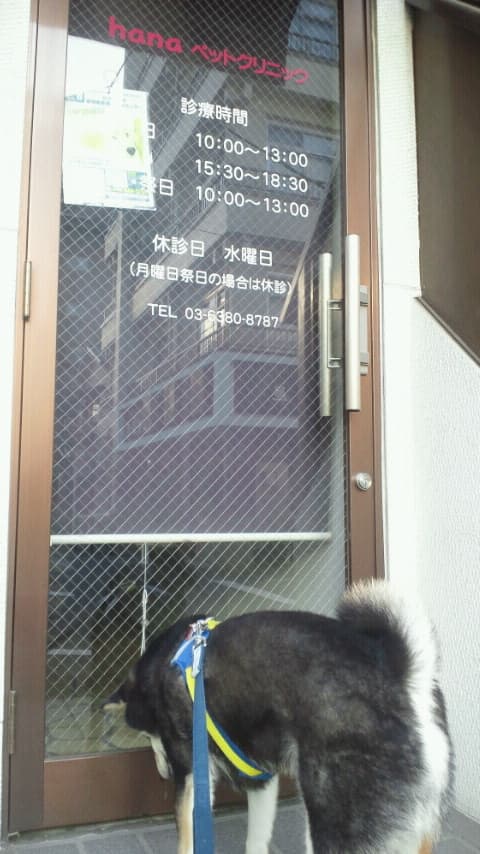 hanaペットクリニック