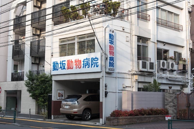 道灌山動物病院