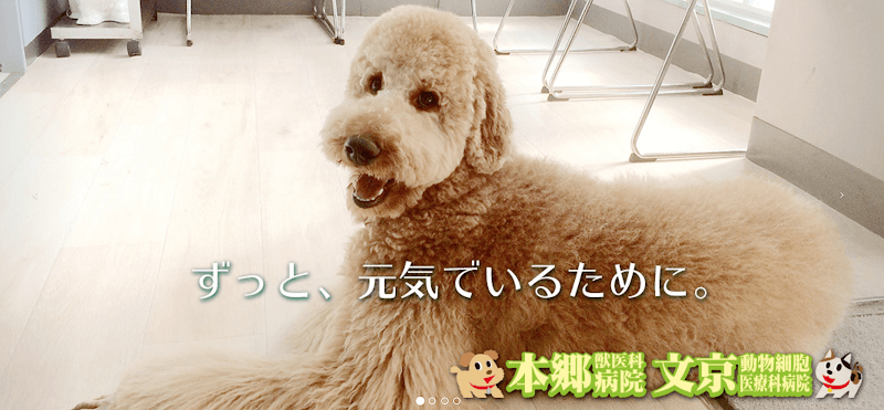 本郷獣医科病院