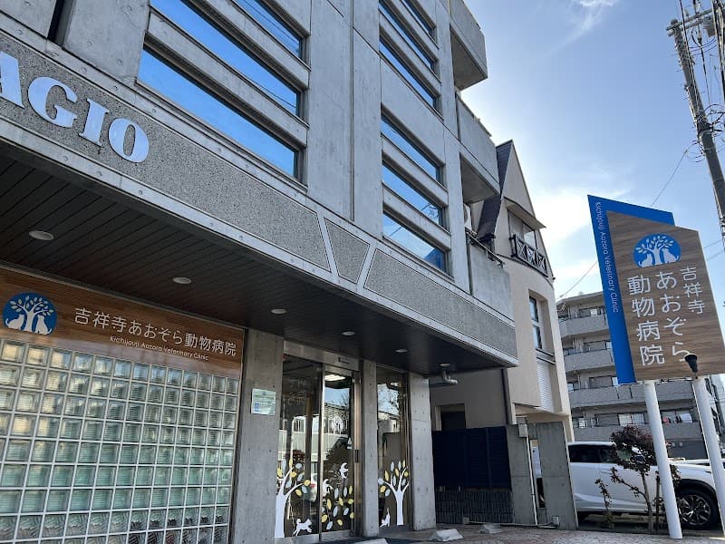 吉祥寺あおぞら動物病院