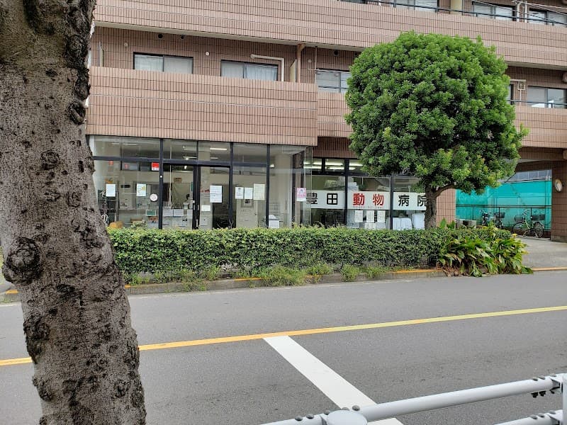 豊田動物病院