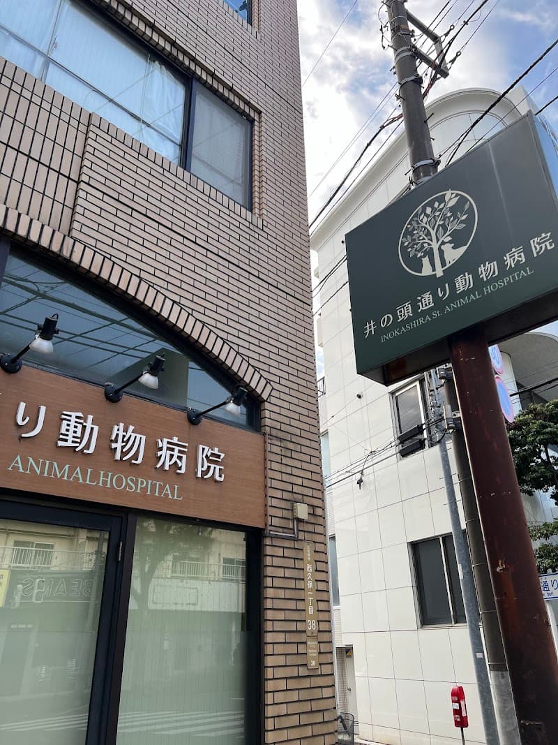 井の頭通り動物病院