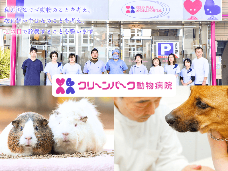 グリーンパーク動物病院