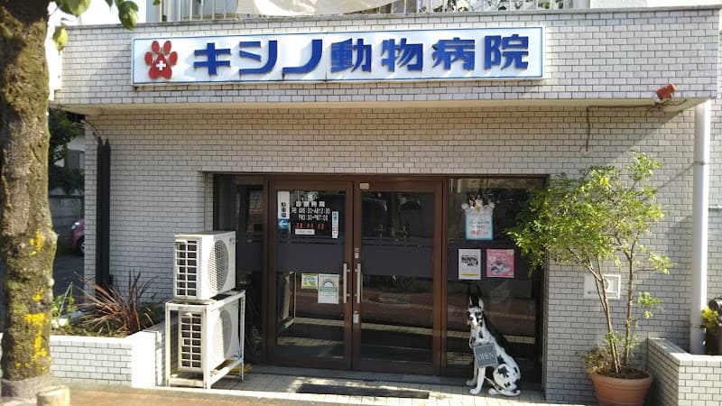 キシノ動物病院