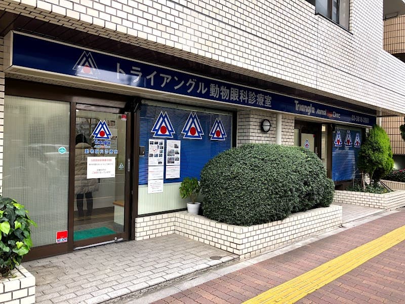 トライアングル動物眼科診療室