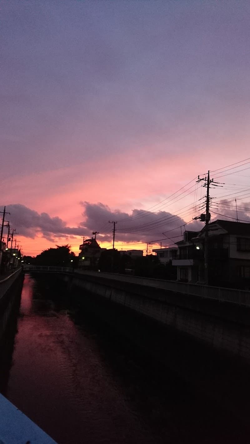 豊島園犬猫病院