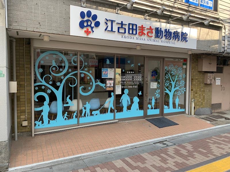 江古田まさ動物病院