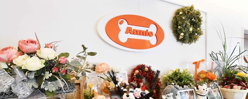 アニー動物病院
