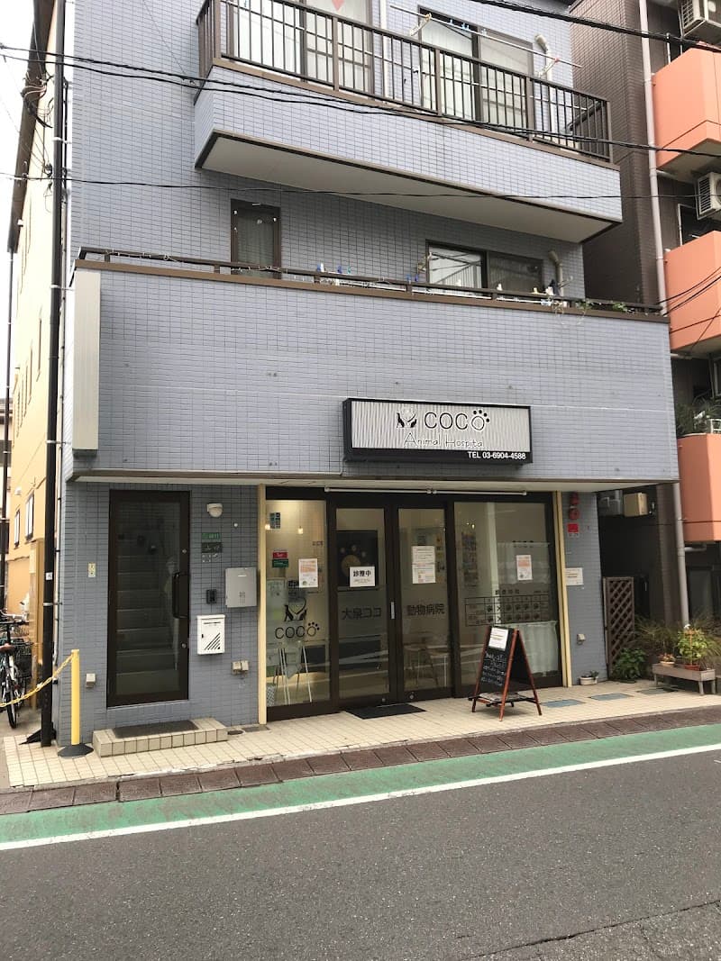 大泉ココ動物病院