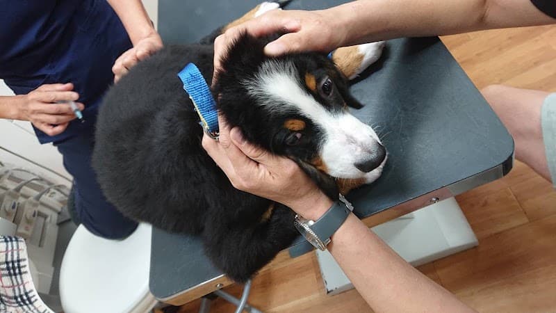 佐伯獣医科病院