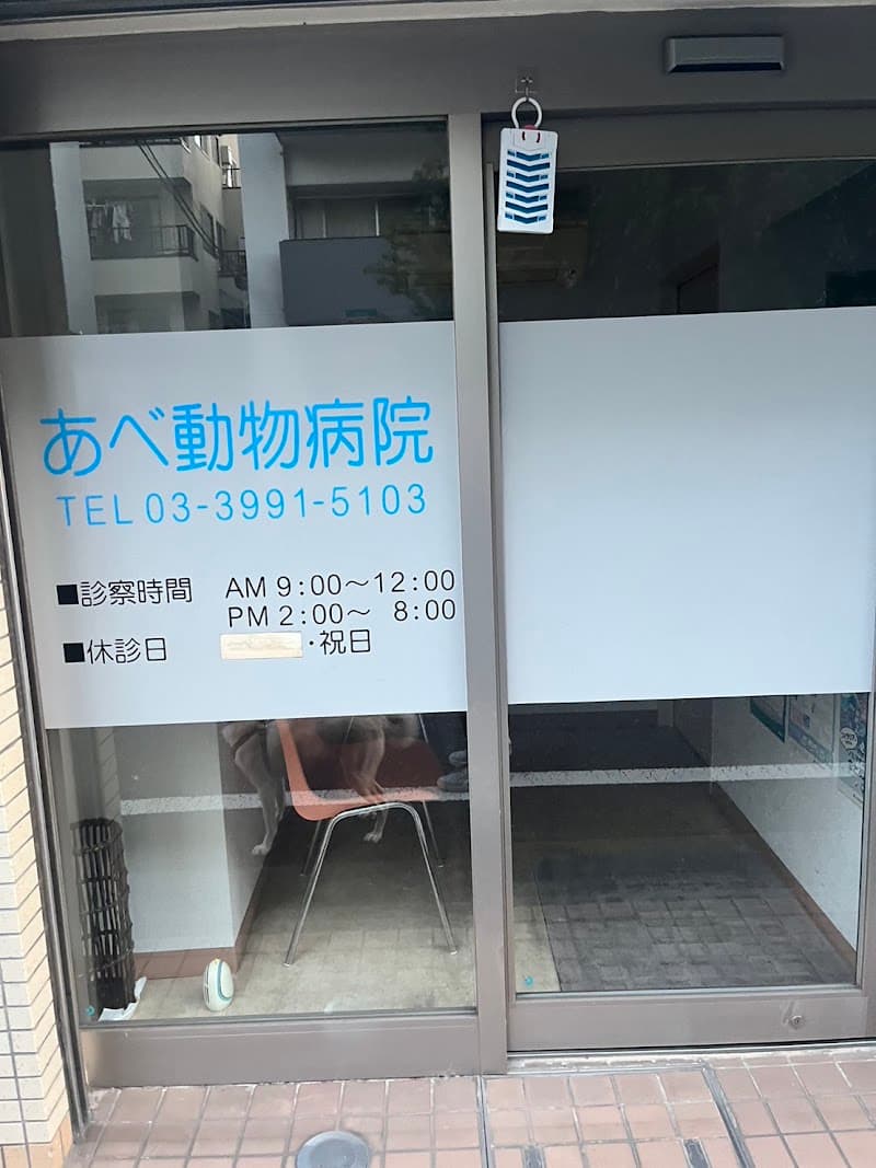 あべ動物病院