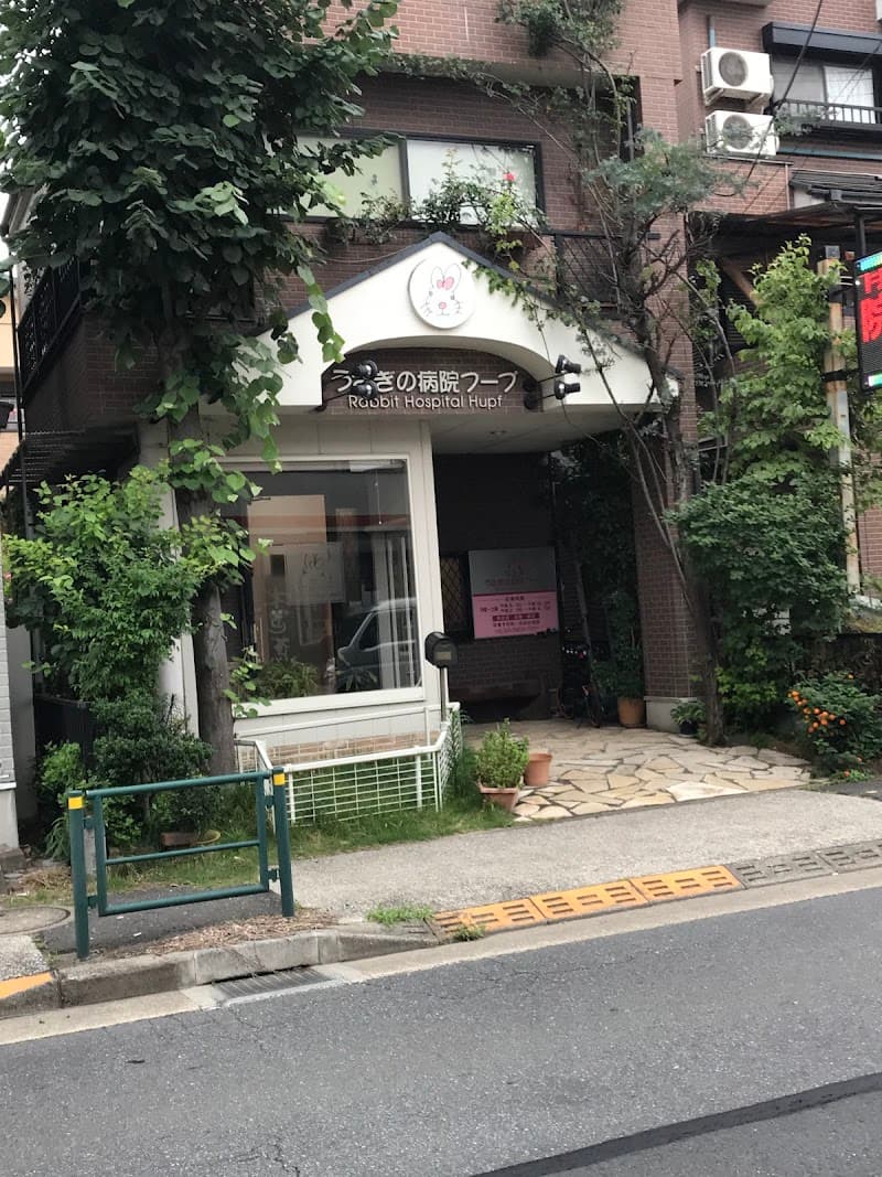 うさぎの病院フープ