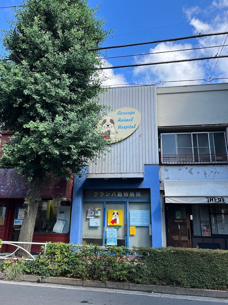 グランパ動物病院