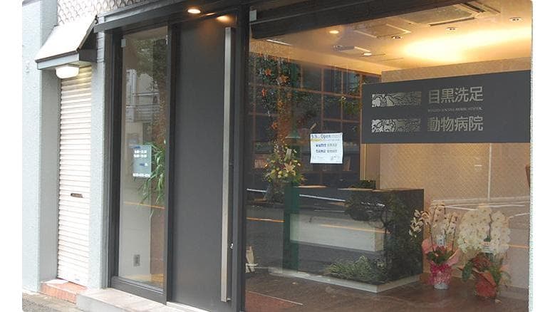 洗足動物病院