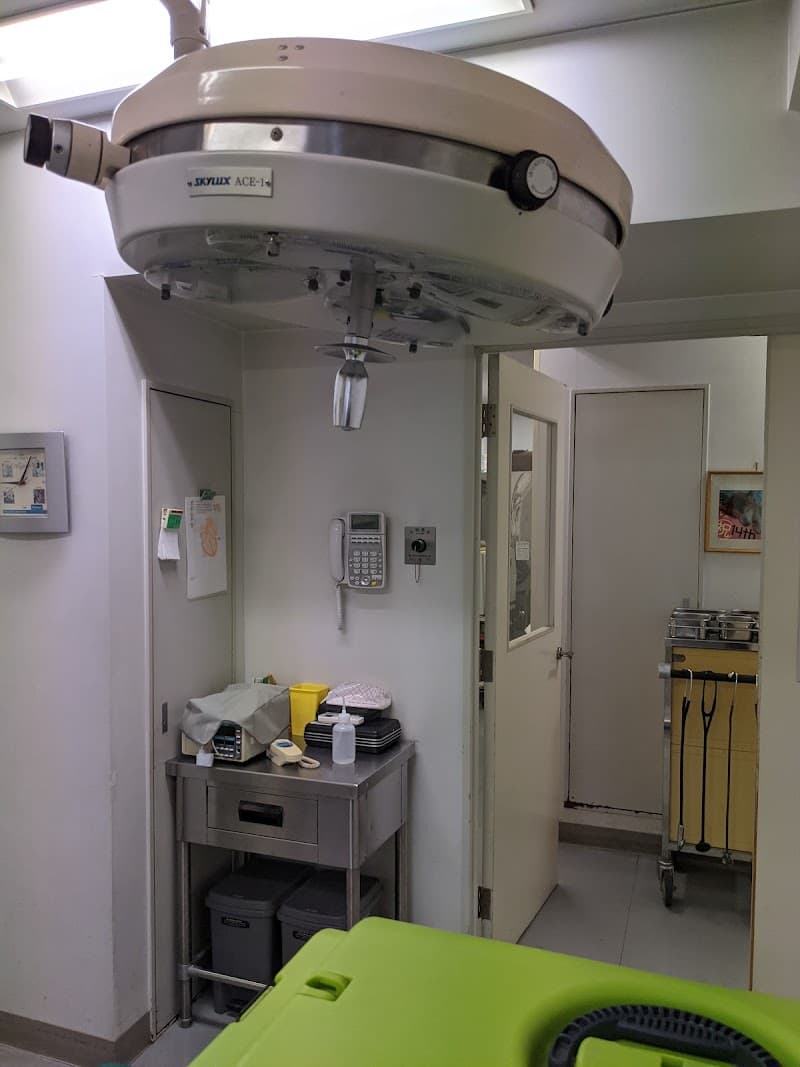 マークワン犬猫病院