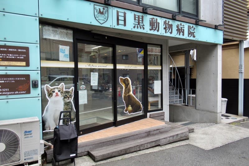 中目黒動物病院