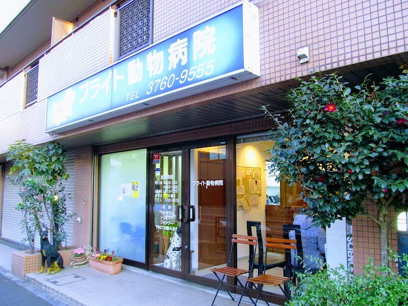 ブライト動物病院
