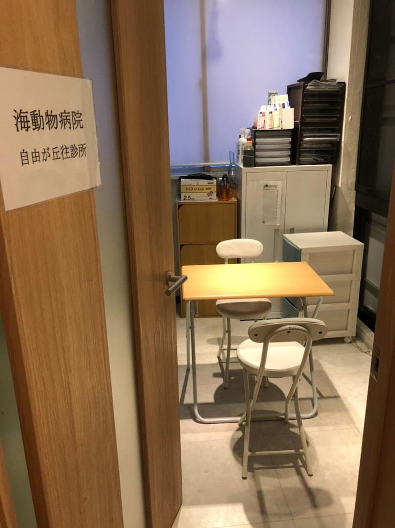 海動物病院 自由が丘往診所