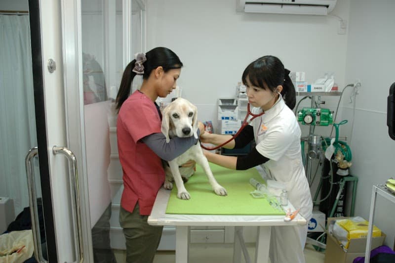 るりあ動物病院(往診専門)