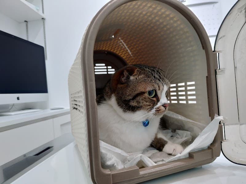 日本小動物医療センター 目黒消化器サテライト病院