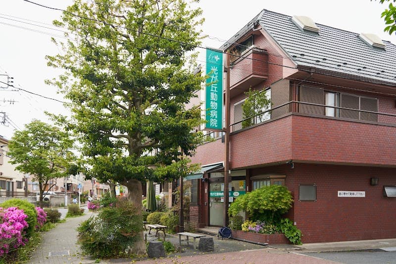 光が丘動物病院 練⾺本院