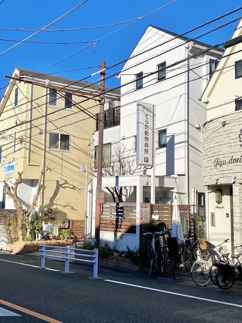 てらだ動物病院