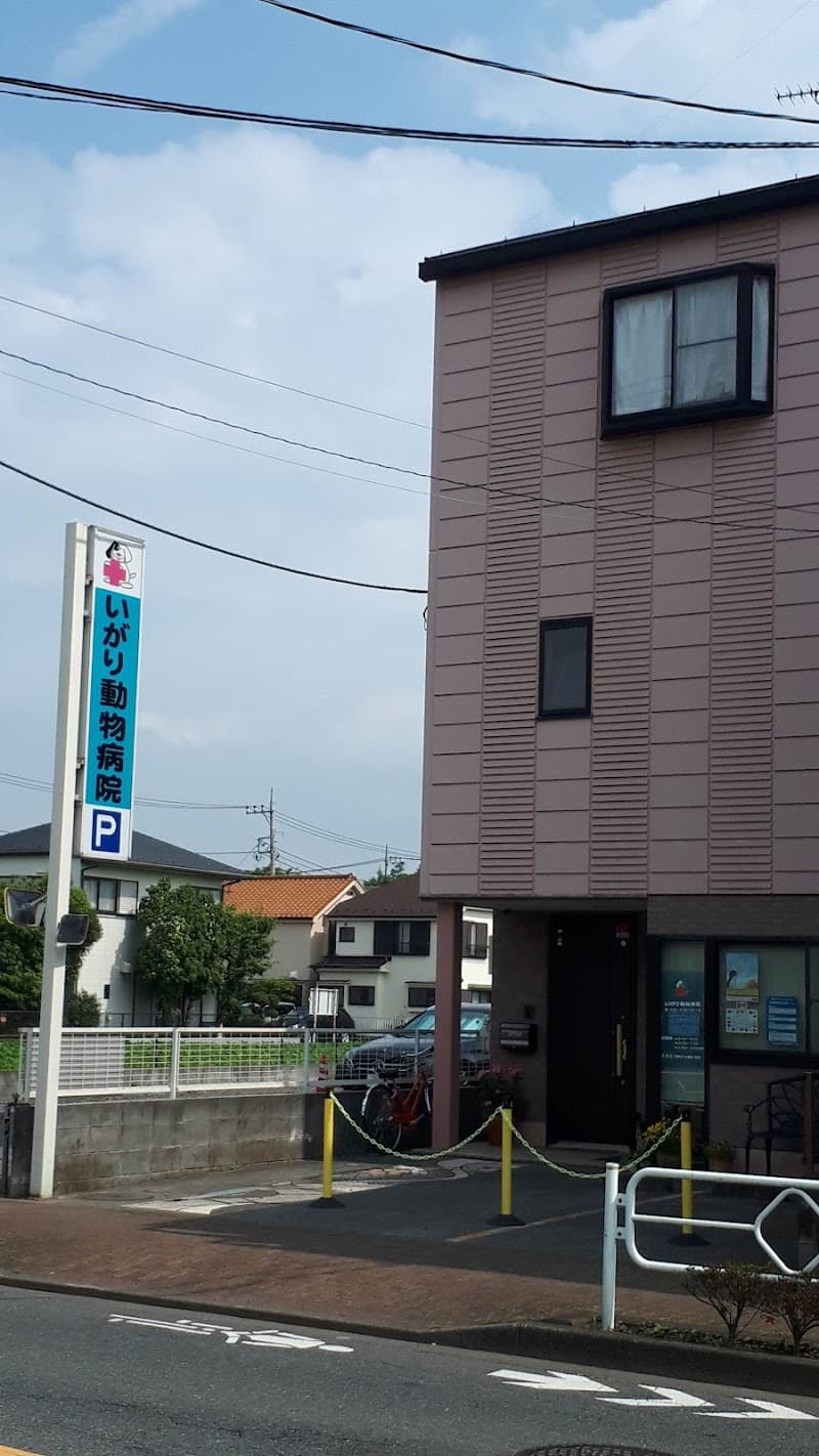 いがり動物病院