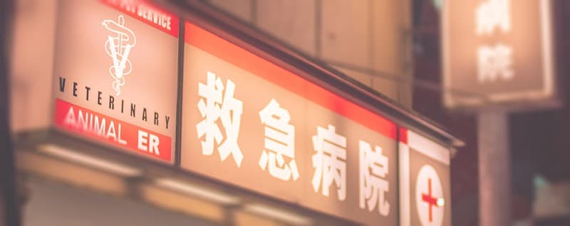 夜間救急動物病院 目黒